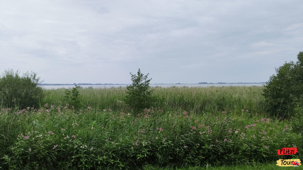 Dümmer See bei bedecktem Wetter.