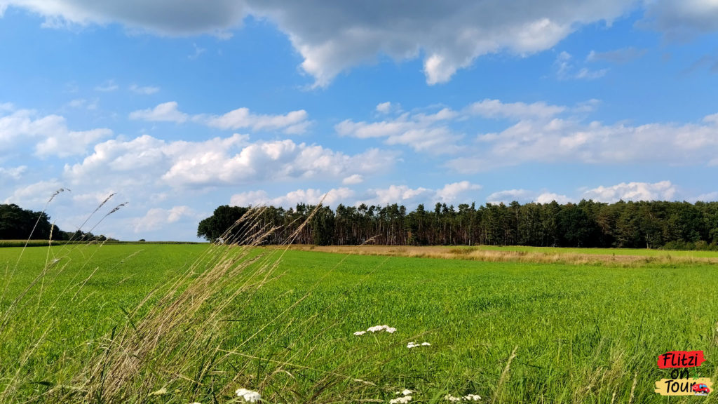 Landschaft am Steinhuder Meer