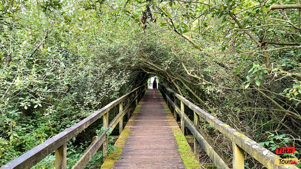 Zugang zum Aussichtspunkt am Steinhuder Meer