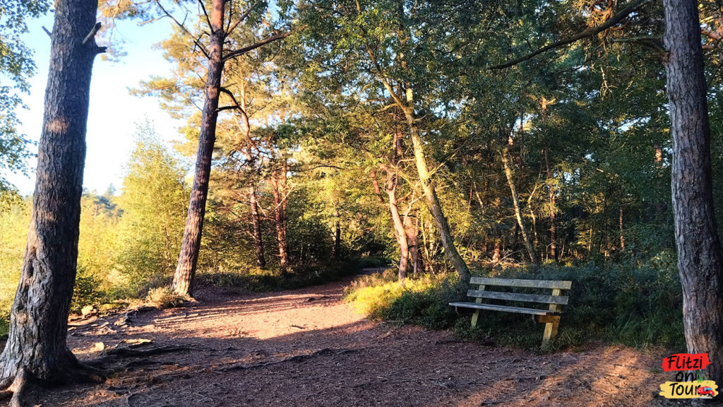 Bank zum Rasten am Grundlosen See