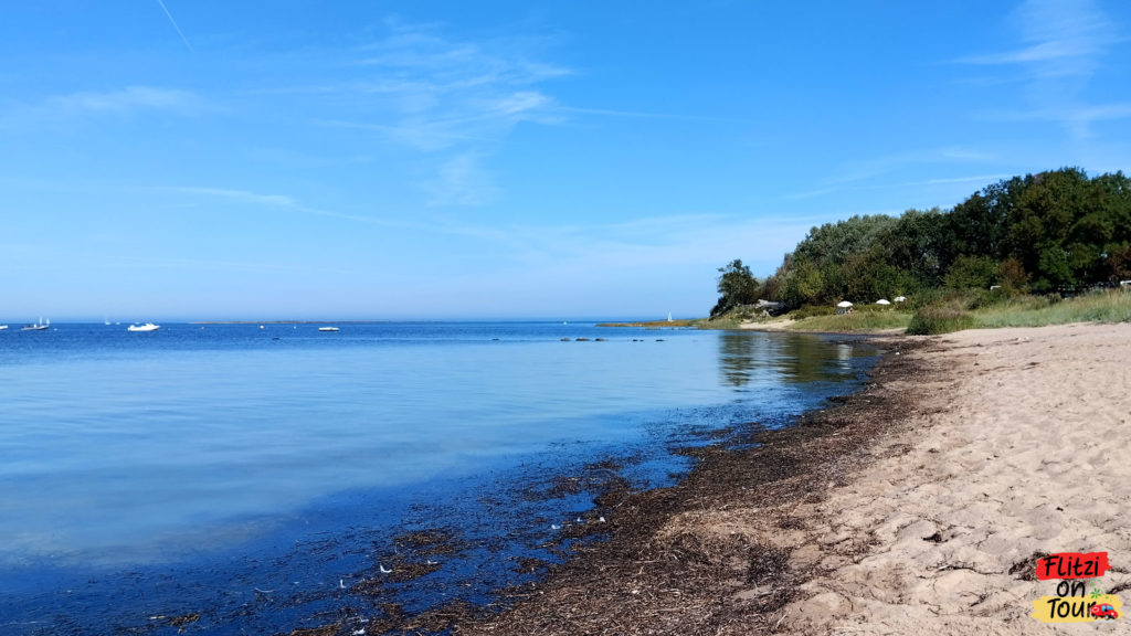 Strand am Campingplatz HaffCamp Werder